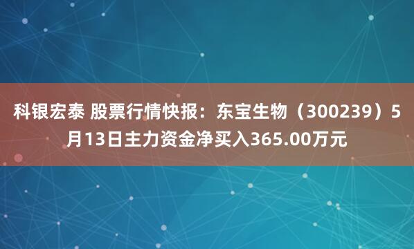 科银宏泰 股票行情快报：东宝生物（300239）5月13日主力资金净买入365.00万元