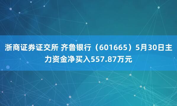 浙商证券证交所 齐鲁银行（601665）5月30日主力资金净买入557.87万元