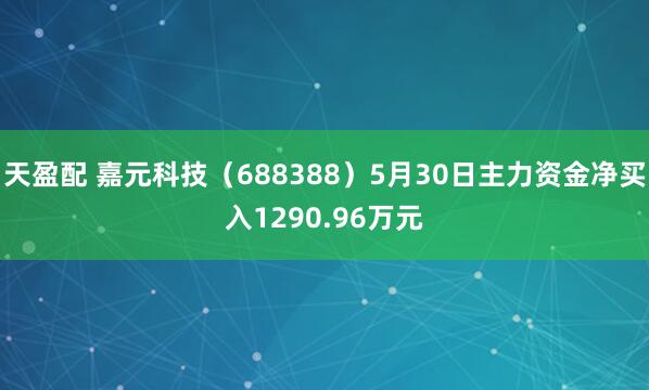 天盈配 嘉元科技（688388）5月30日主力资金净买入1290.96万元