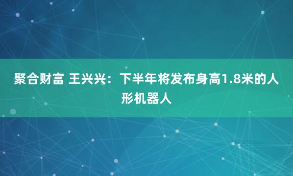 聚合财富 王兴兴：下半年将发布身高1.8米的人形机器人