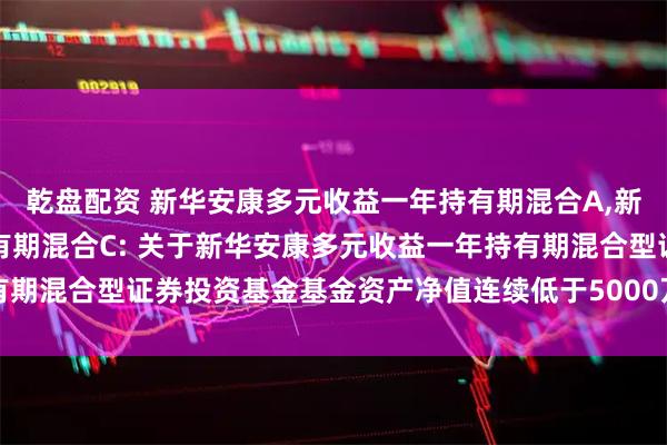 乾盘配资 新华安康多元收益一年持有期混合A,新华安康多元收益一年持有期混合C: 关于新华安康多元收益一年持有期混合型证券投资基金基金资产净值连续低于5000万元的提示性公告