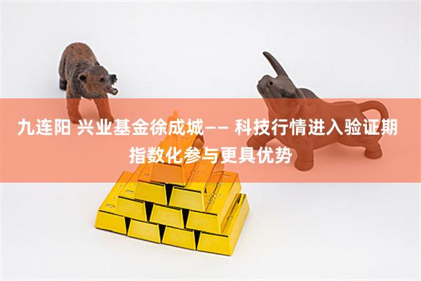 九连阳 兴业基金徐成城—— 科技行情进入验证期 指数化参与更具优势