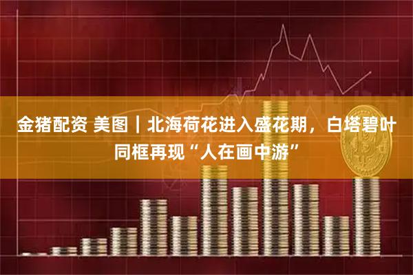 金猪配资 美图|北海荷花进入盛花期,白塔碧叶同框再现“人在画中游”